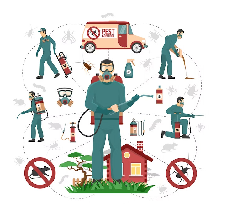 Best Pest Control Solutions