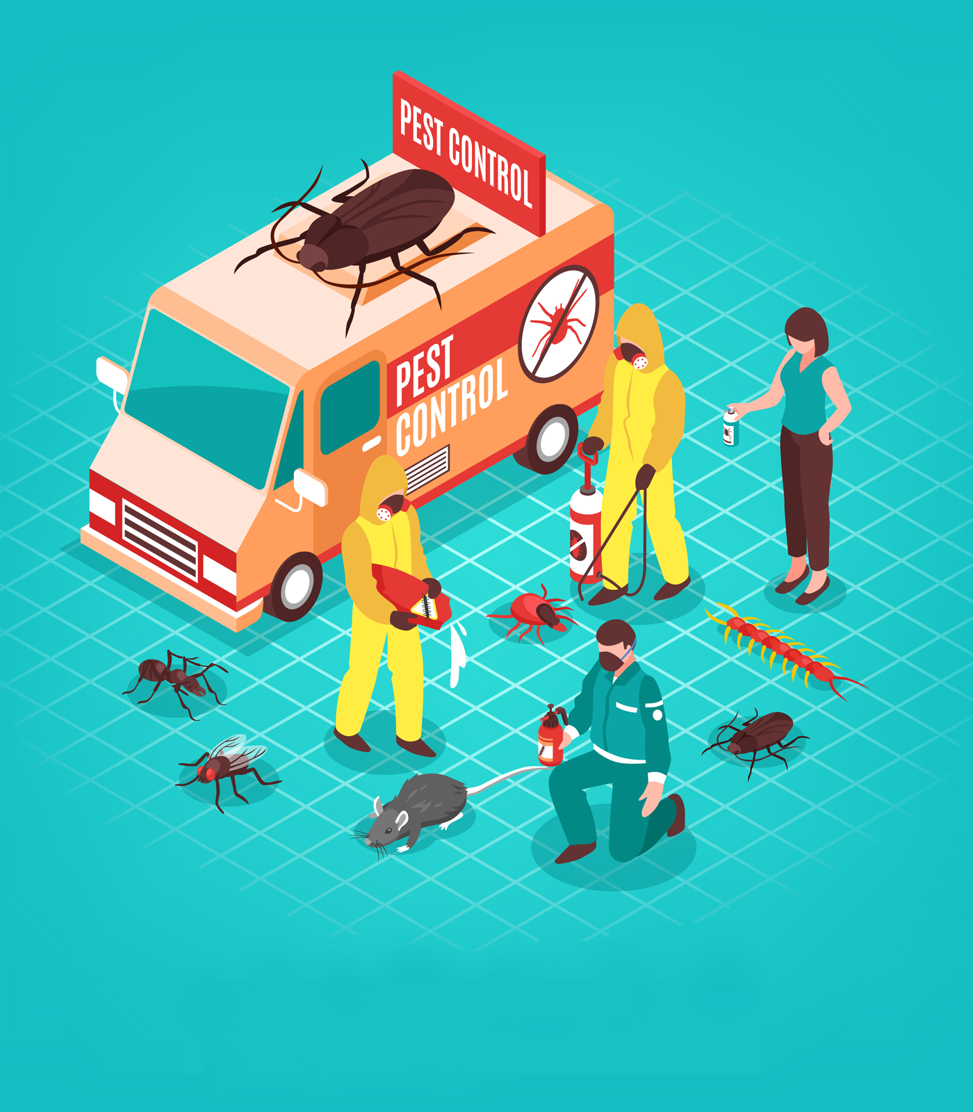 About Pest Cure Pest Control Services in Hyderabad